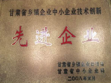 甘肅省鄉(xiāng)鎮(zhèn)企業(yè)中小企業(yè)技術(shù)創(chuàng)新