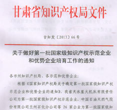 國家級知識產(chǎn)權(quán)示范和優(yōu)勢企業(yè)